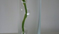 Váza brus mat křišťál+zelená,č.0141,34x16x8 (1).jpg